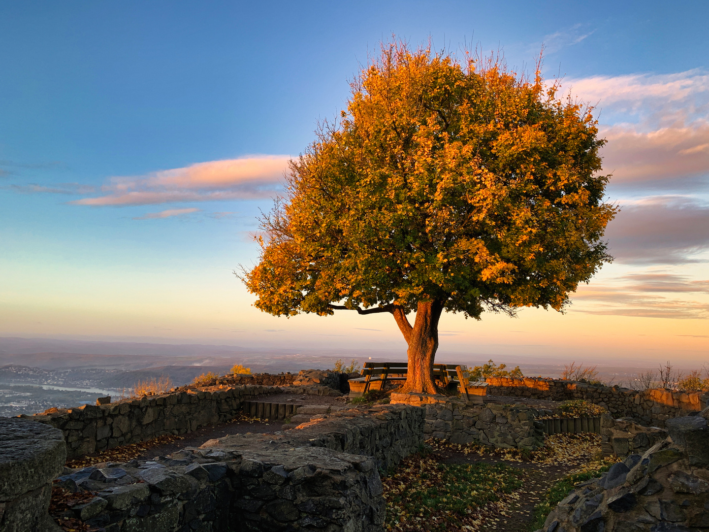 Löwenburg Morgendämmerung