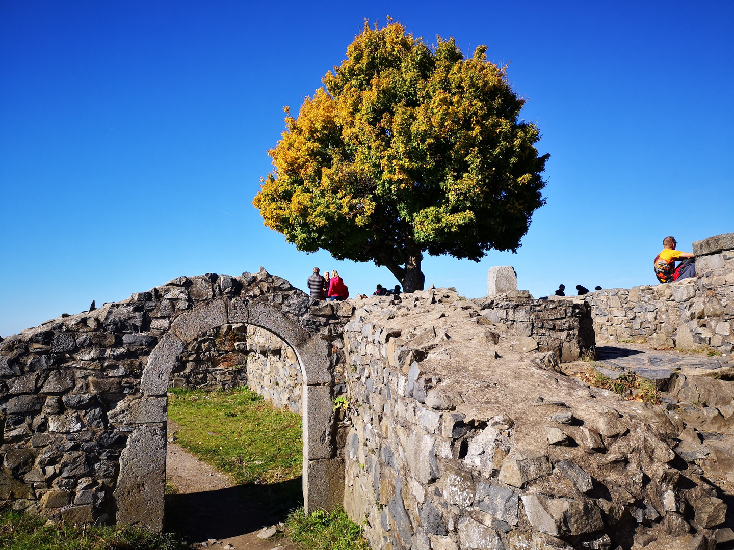 Löwenburg Siebengebirge