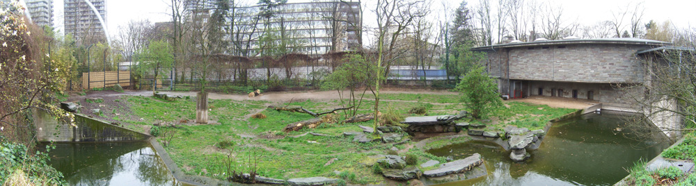 Löwengehege Pamorama in Kölner Zoo