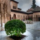 Löwenhof in der Alhambra