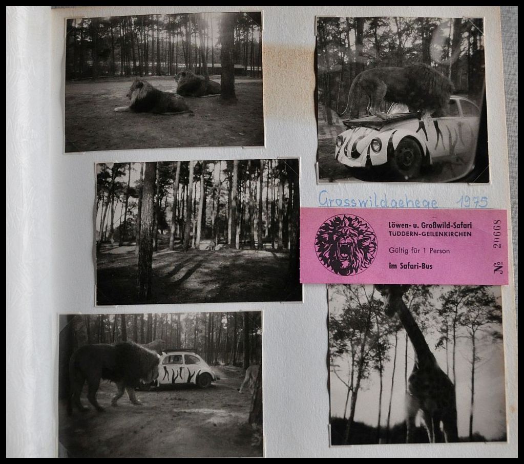 Löwensafari 1975