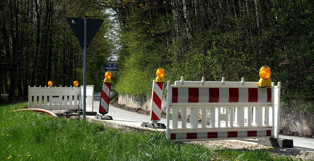 Löwenzahn Baustelle Meridian