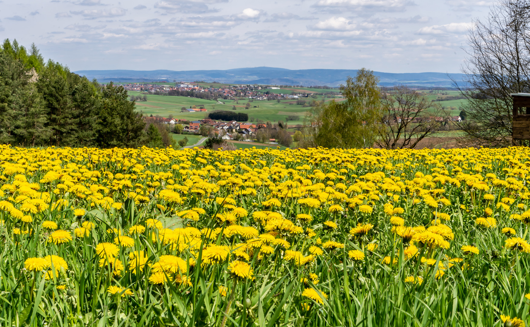 Löwenzahn bis Fichtelgebirge