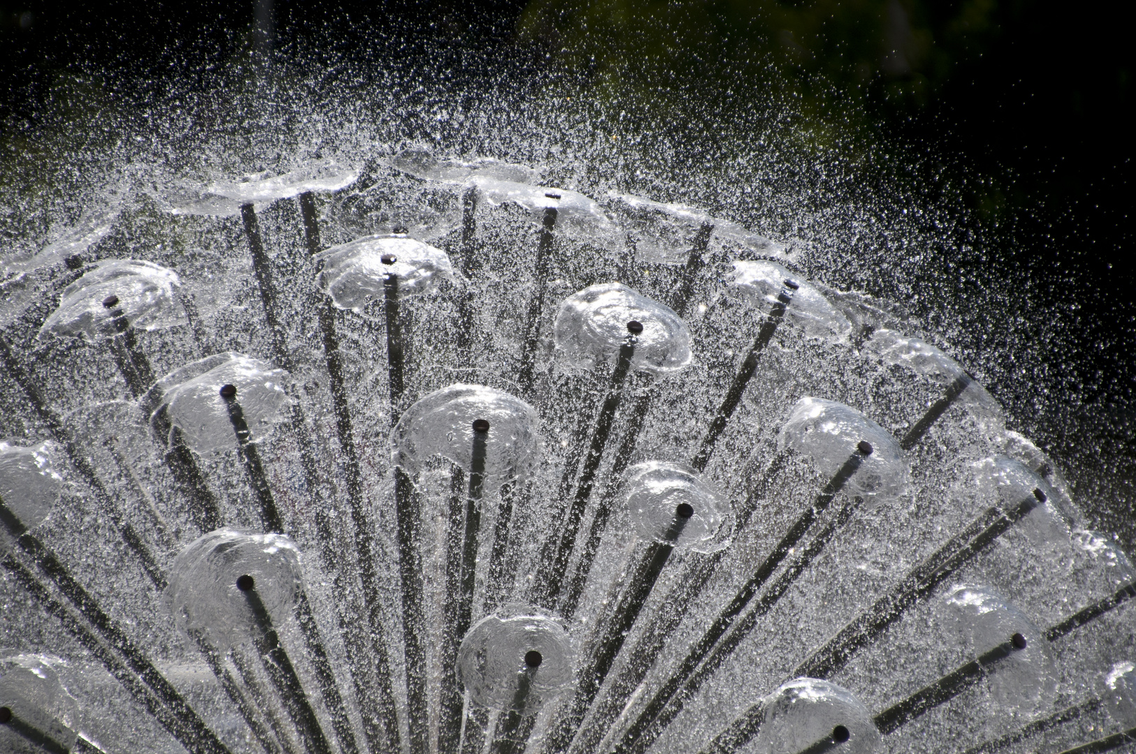 Löwenzahn Brunnen