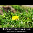 Löwenzahn