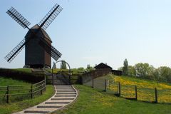 Löwenzahn mit Windmühle