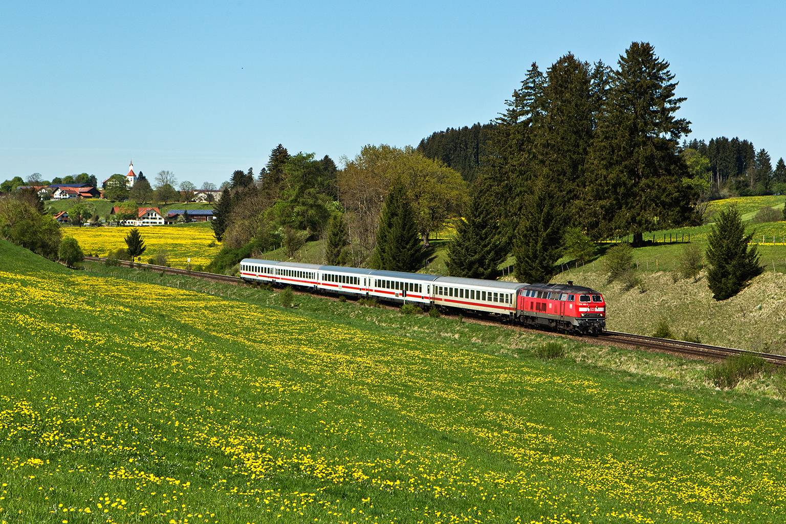 Löwenzahn und Diesel