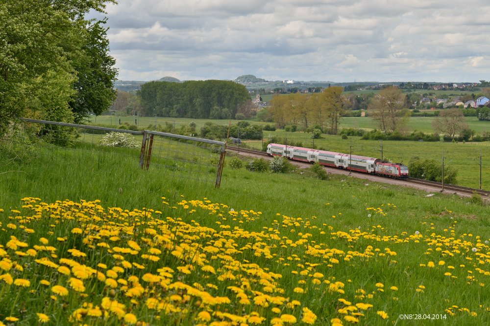 Löwenzahn und Regionbahn