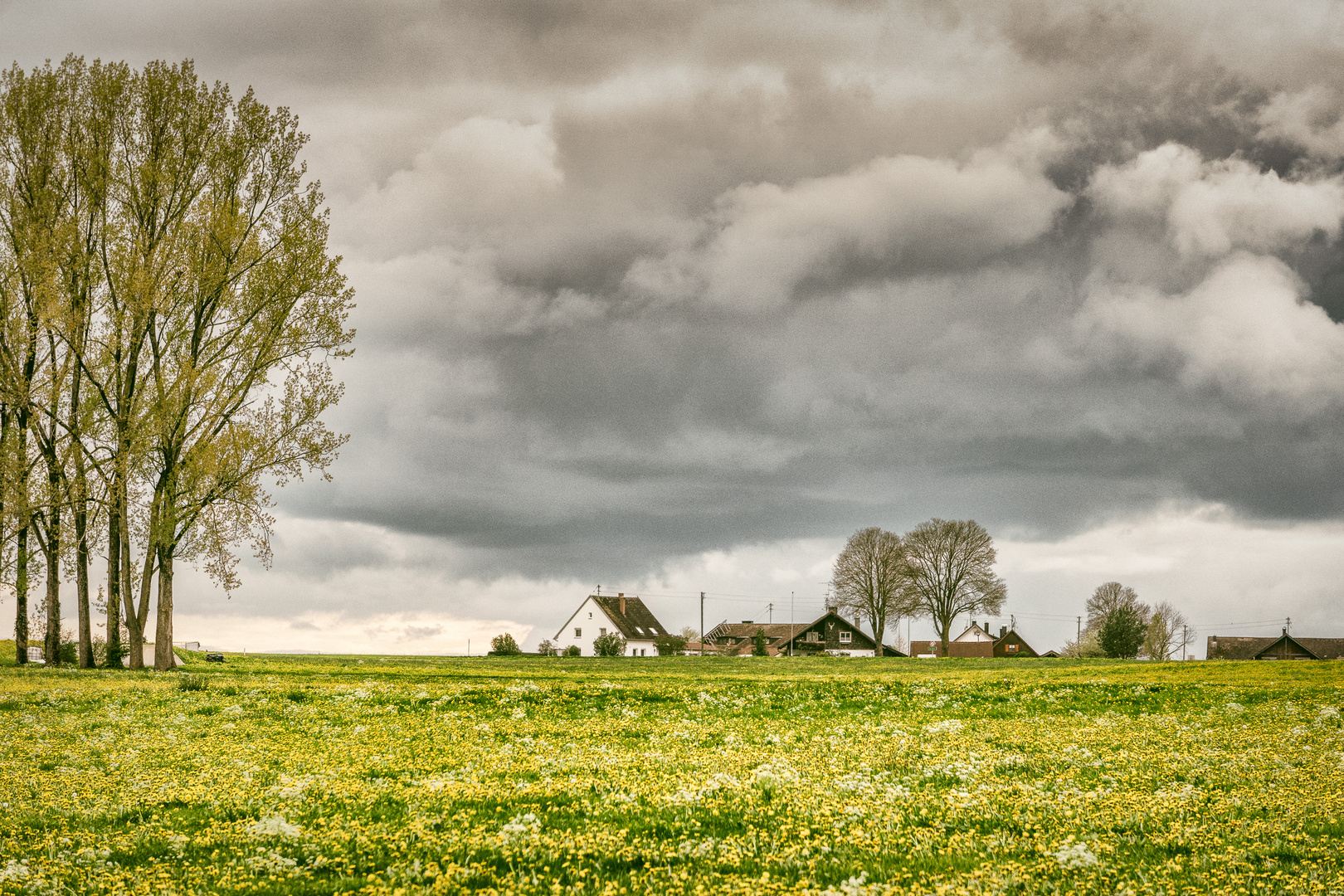 Löwenzahngewitterwolkenbild