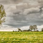 Löwenzahngewitterwolkenbild