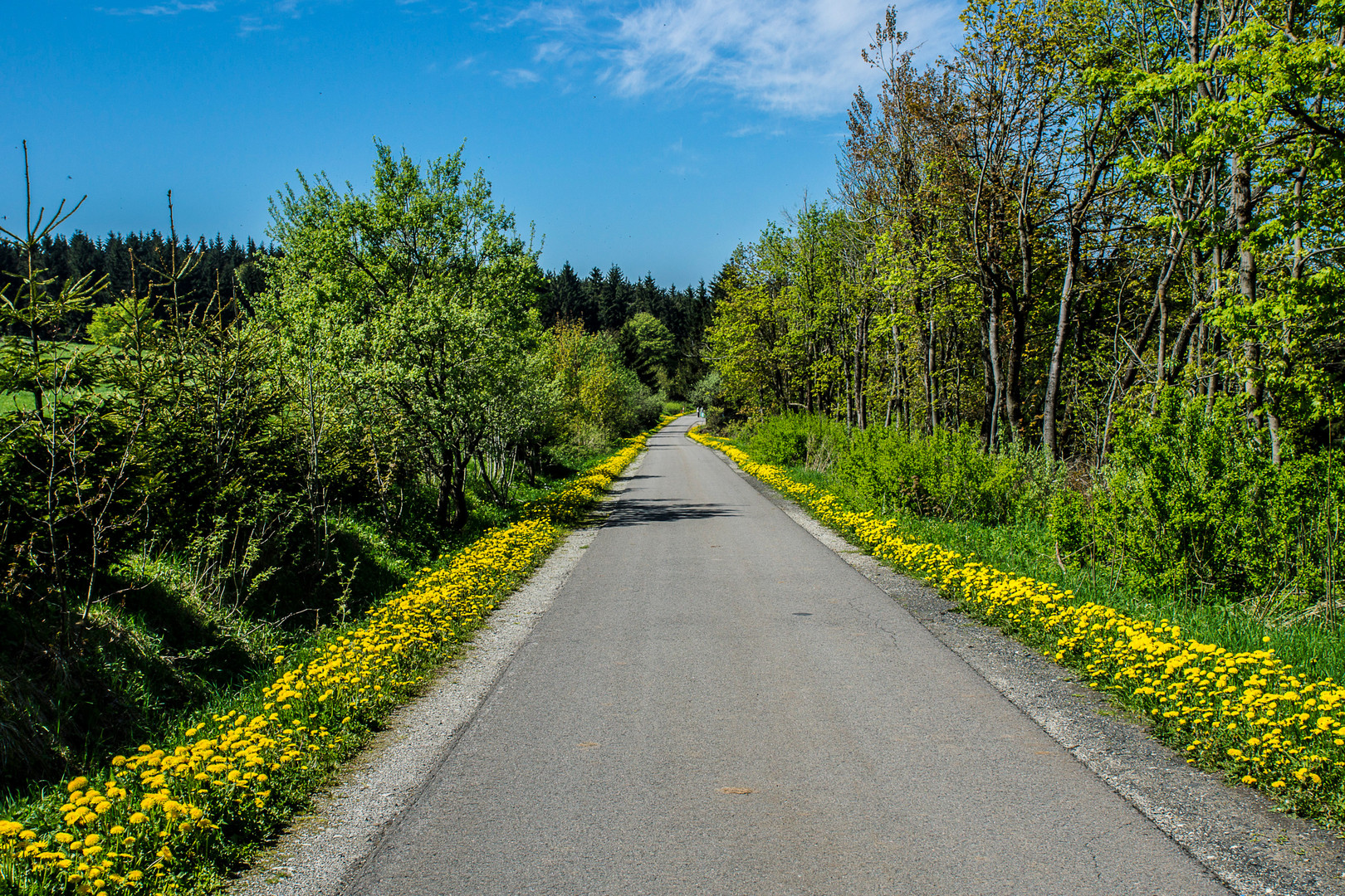 Löwenzahnstreet