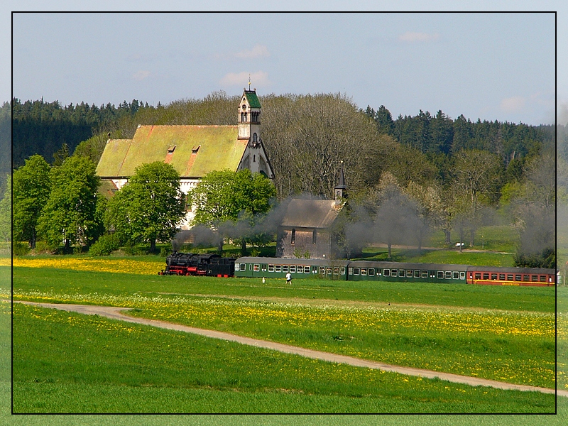 Löwenzahnwiese