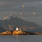 Lofoten 1