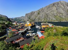 Lofoten (11)