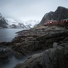 Lofoten (13)