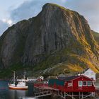 Lofoten 2