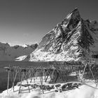 Lofoten 3