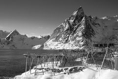 Lofoten 3