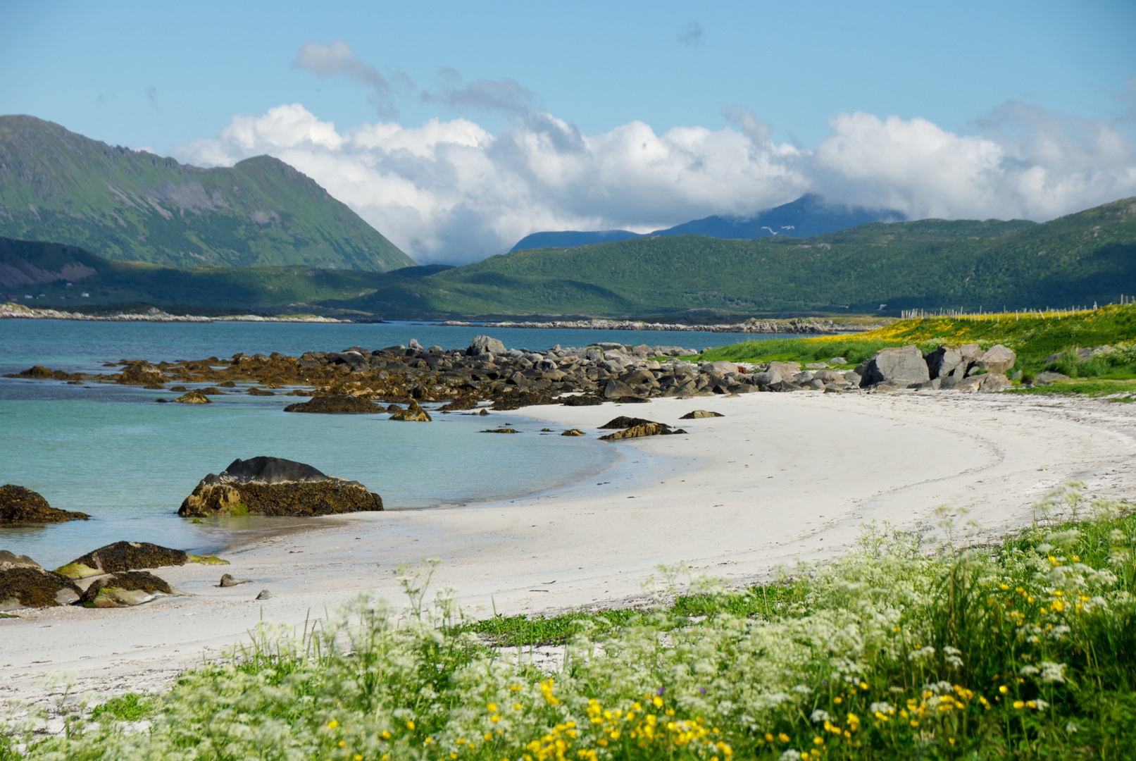 Lofoten