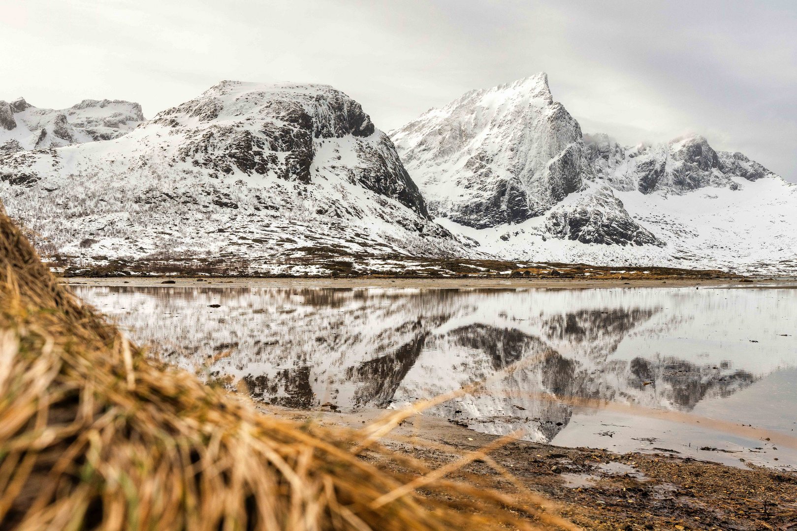 LOFOTEN 