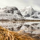 LOFOTEN 