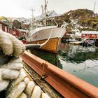 LOFOTEN