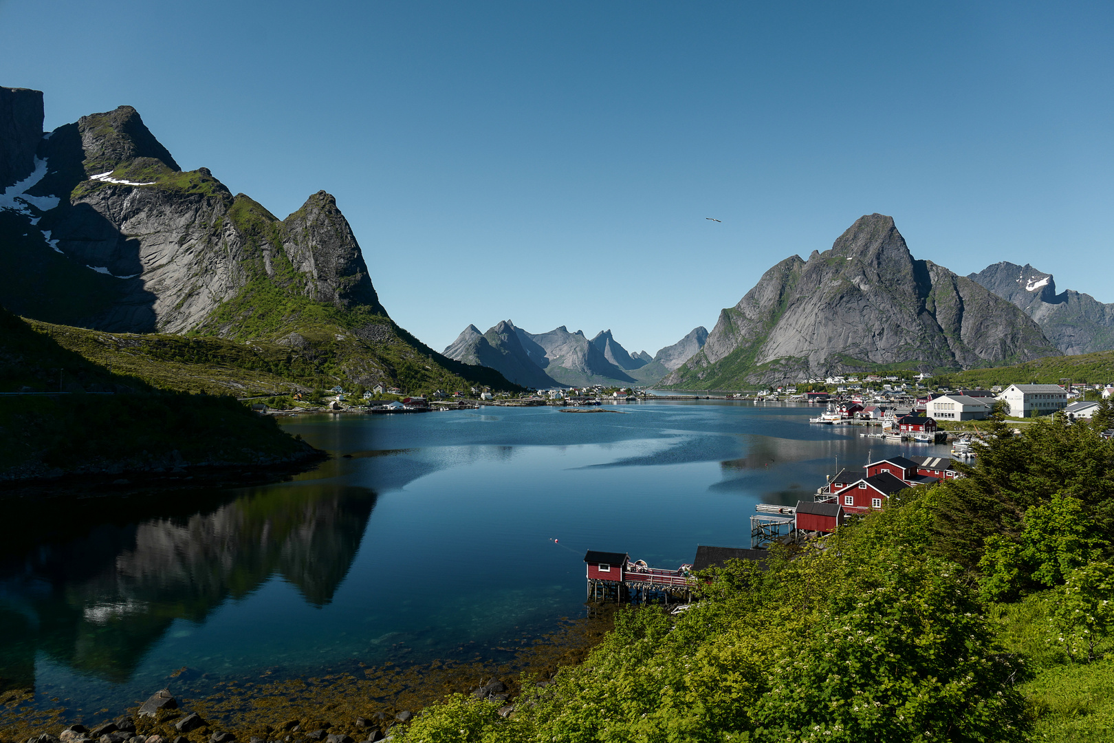 Lofoten 5