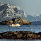 LOFOTEN