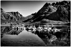 Lofoten