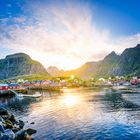 Lofoten 