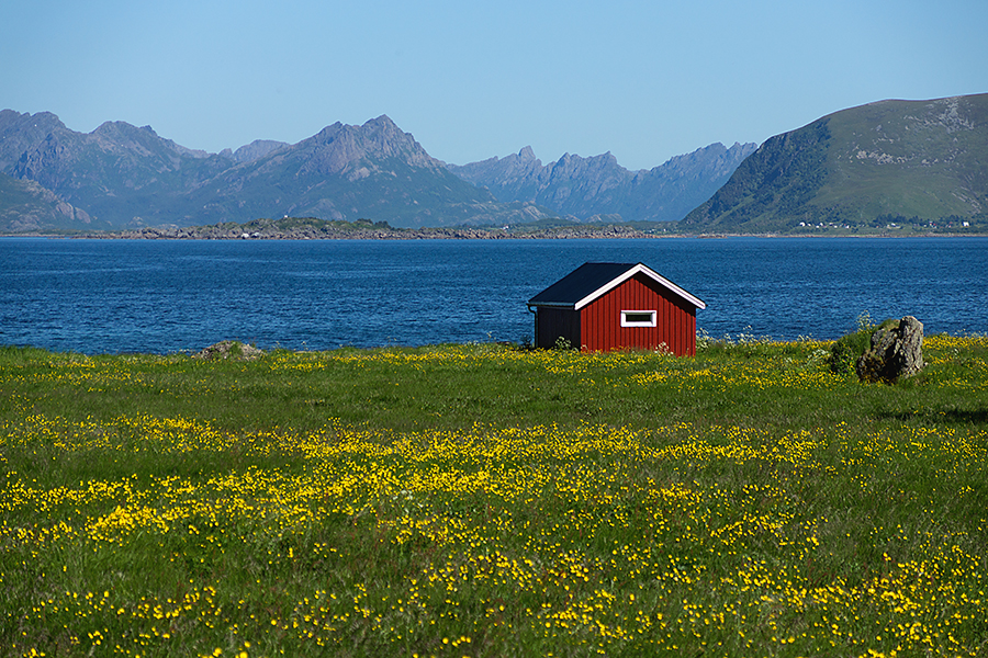 Lofoten...