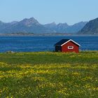 Lofoten...