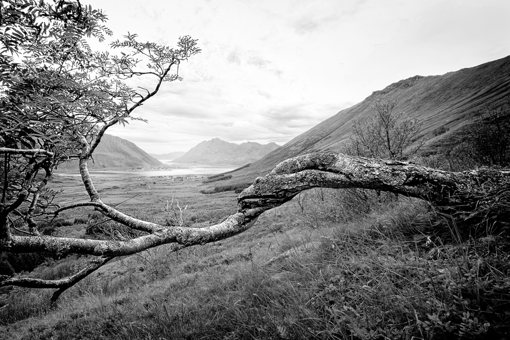 Lofoten