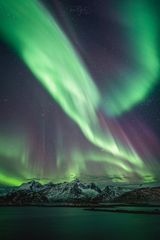 Lofoten #8732 - Polarlichter #2