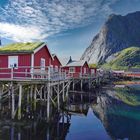 Lofoten...