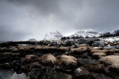 Lofoten