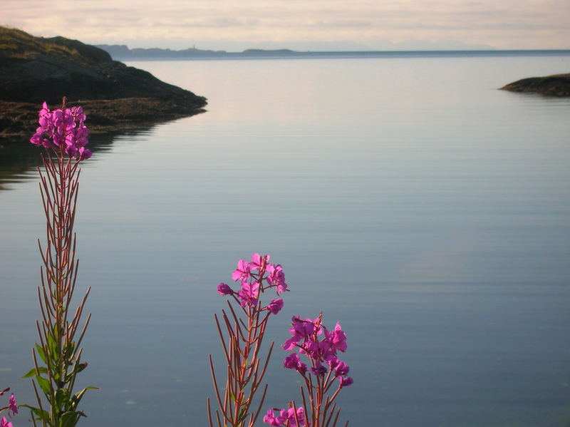 lofoten