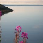 lofoten