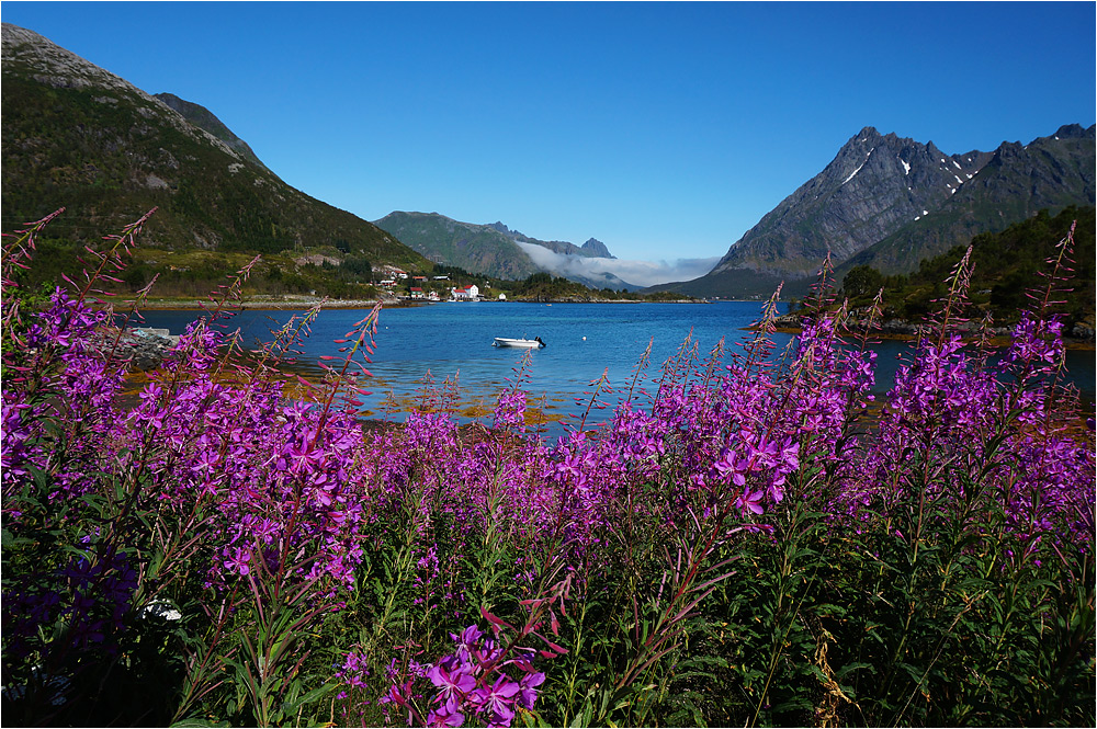 Lofoten