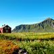 Lofoten