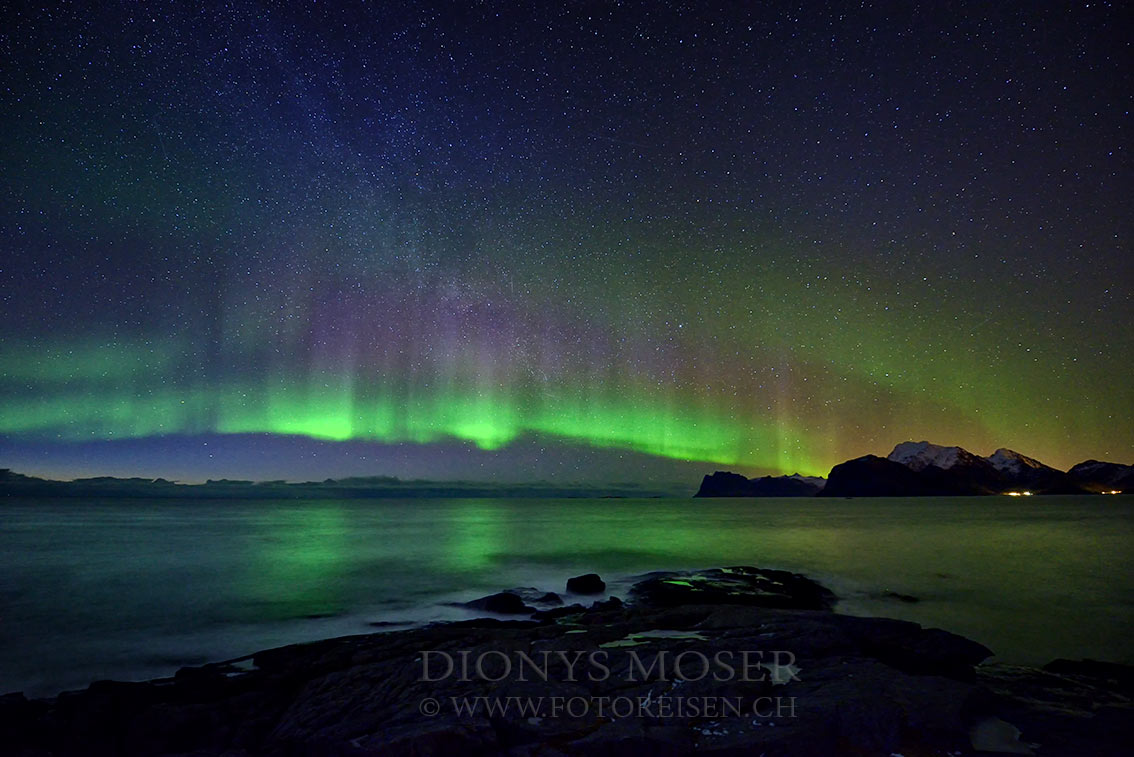 Lofoten Aurora I