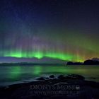 Lofoten Aurora I