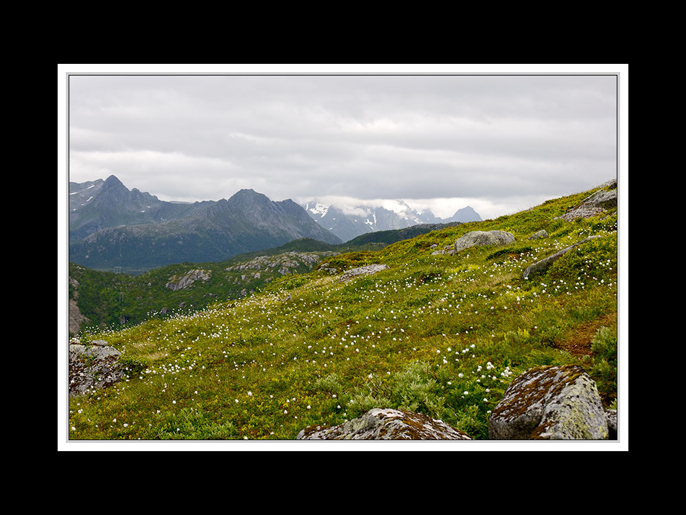 Lofoten-Austvågøy 005