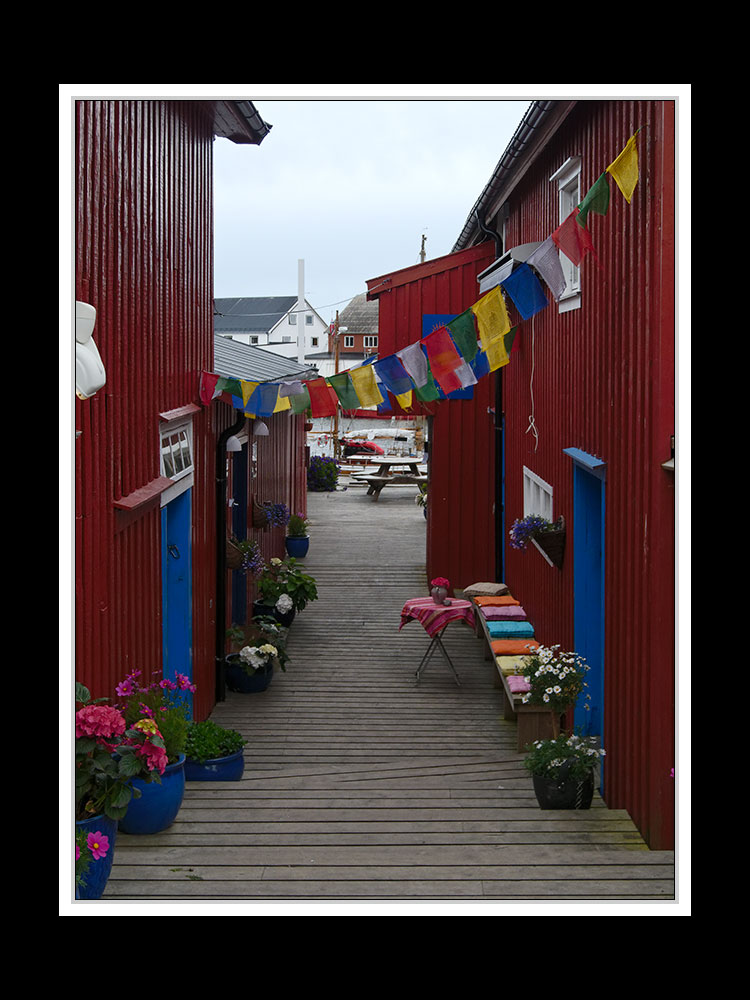 Lofoten-Austvågøy 046