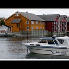 Lofoten-Austvågøy 303