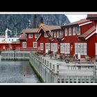 Lofoten-Austvågøy 305