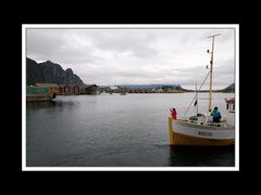 Lofoten-Austvågøy 307