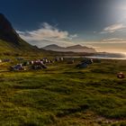 Lofoten Camping