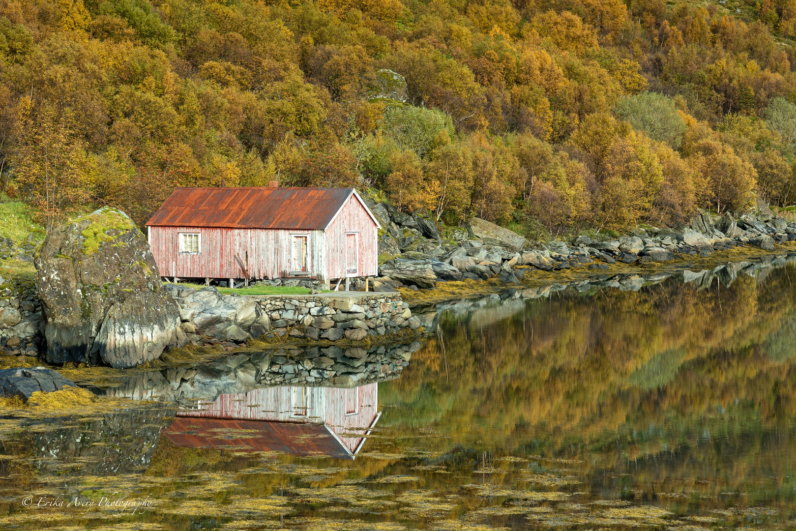 Lofoten - Das rote Haus