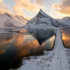 Lofoten Dream